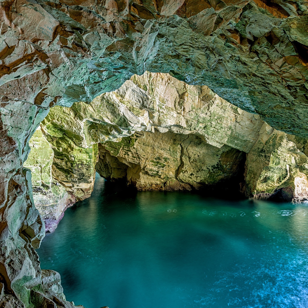 ראש הנקרה כרטיסים
