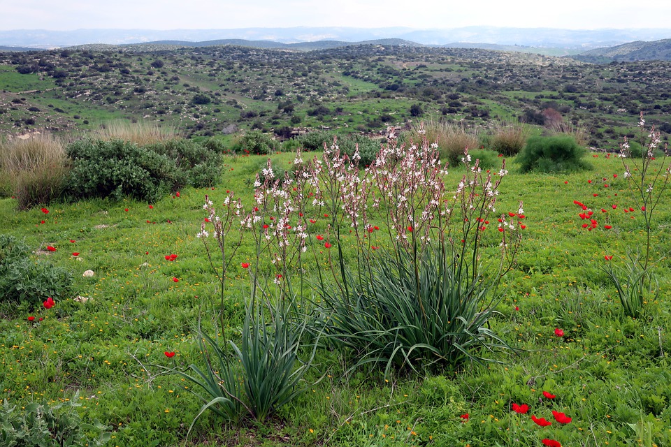 יום כיף לצוות קטן וקבוצות קטנות