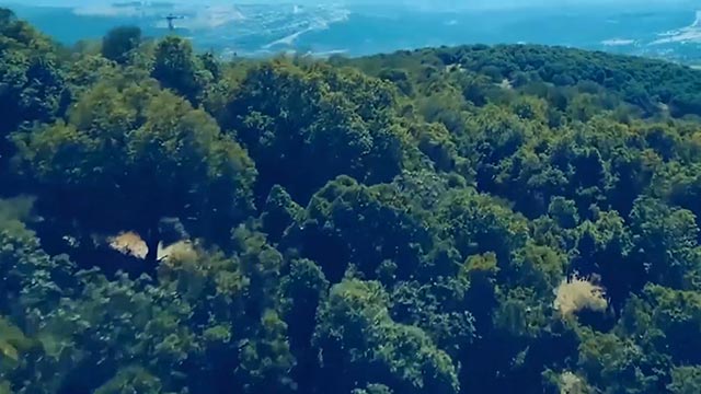 קייקי הגושרים קמפינג